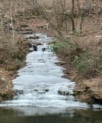 All Photos for Z's Land Management & Forestry Mulching in Smithville, TN
