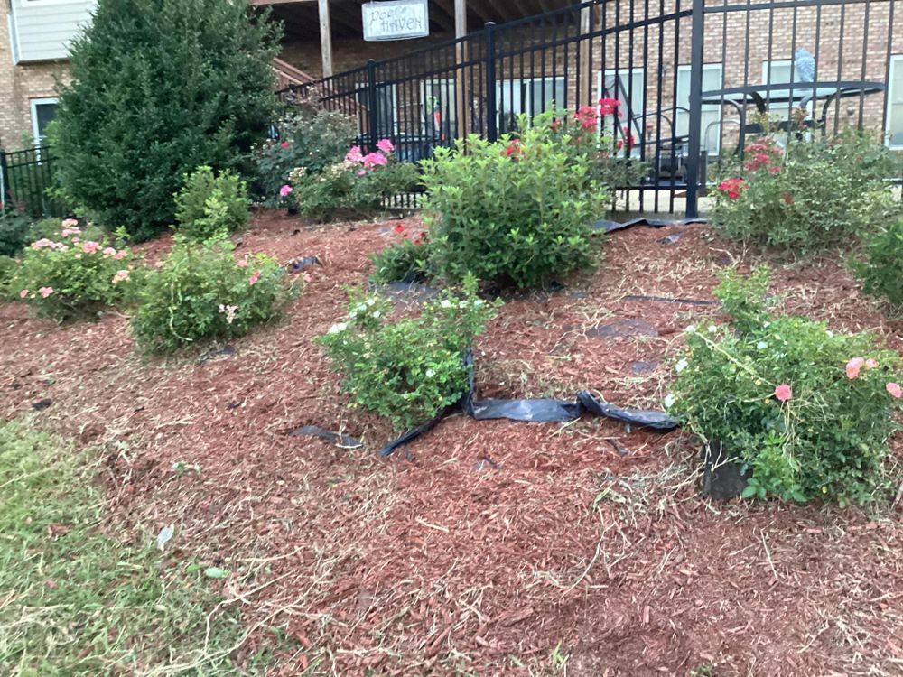 All Photos for Xtreme Landscaping & Lawn Care in Lincoln, AL