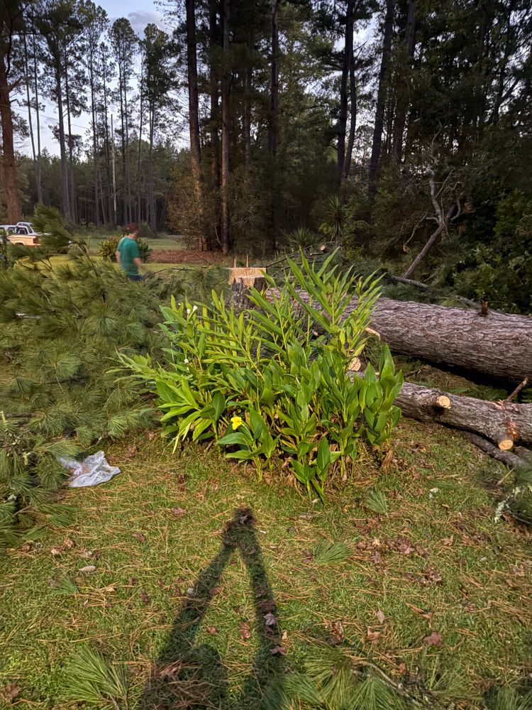 All Photos for Hawkins Tree Service & Land Management in Richmond Hill, GA