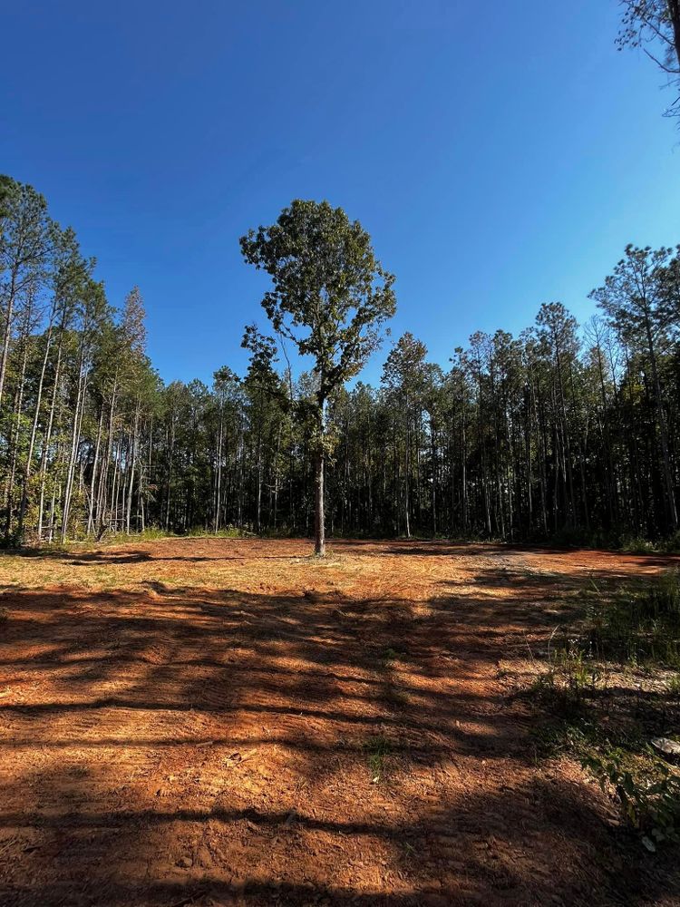 Our Land Grading service ensures a stable foundation for your project, preventing drainage issues and promoting structural integrity. Trust our skilled team to create a perfectly leveled surface tailored to your needs. for Southern Roots Services in Carrollton, GA