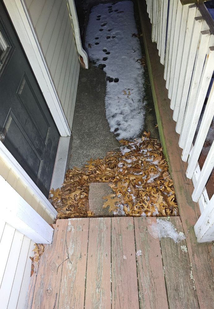 All Photos for South Coast Decks LLC in Mansfield, MA