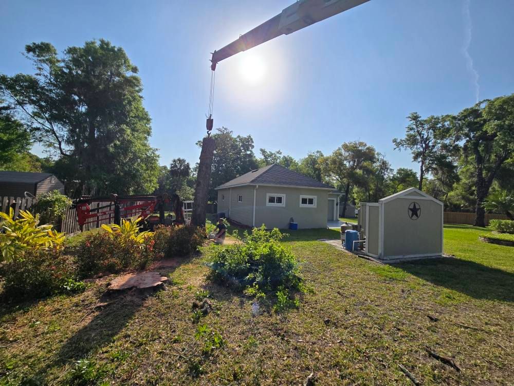 Tree Removal for Near Me Tree Service, Inc. in DeLand, FL