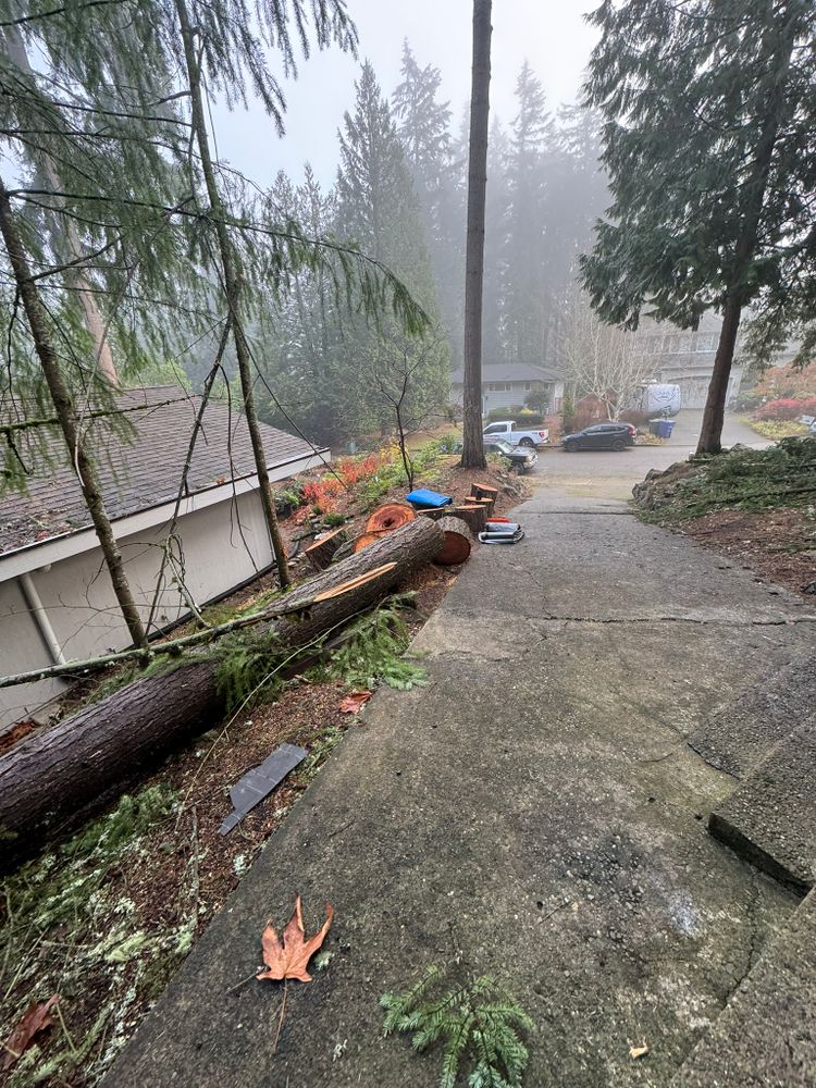 All Photos for Tony's Remodeling & Painting in Renton, WA