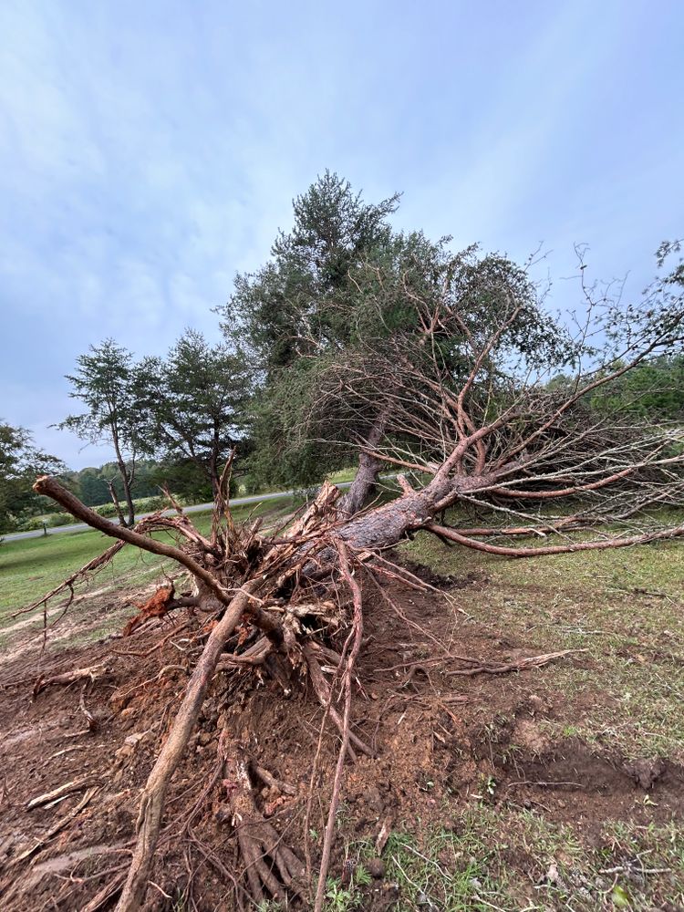 All Photos for Alvarez Landscape & Hardscape Service in Rock Hill, SC