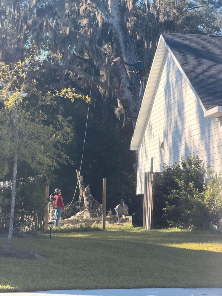 All Photos for Hawkins Tree Service & Land Management in Richmond Hill, GA