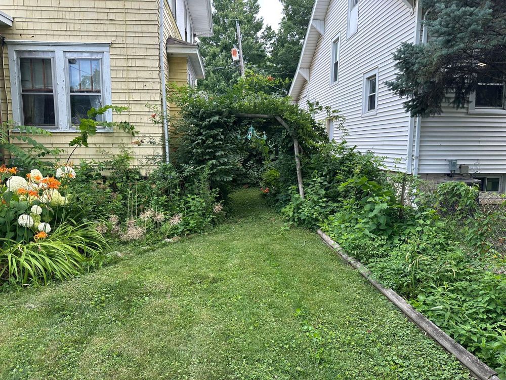 Tree Removal for Greenlee & Family Landscaping Services in Peoria, IL