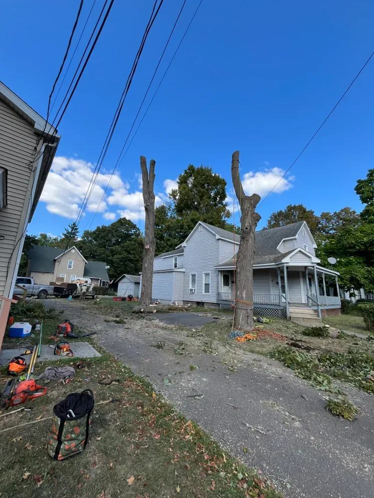 Tree Removal for Licensed to Cut Tree Service in Athens, PA