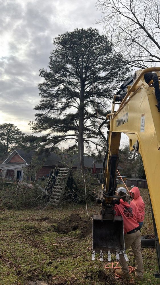 All Photos for Tidewater Tree Service in Chesapeake, VA