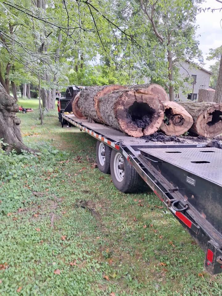 All Photos for Highborn Tree Service in Wheatfield, IN