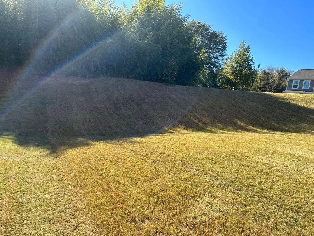 Enhance your lawn with our expert Seeding service, designed to promote lush, vibrant growth and patch any bare spots. Trust us for a healthier, greener yard that elevates your home's curb appeal. for Durham Right Lawn Services in Rock Hill, SC