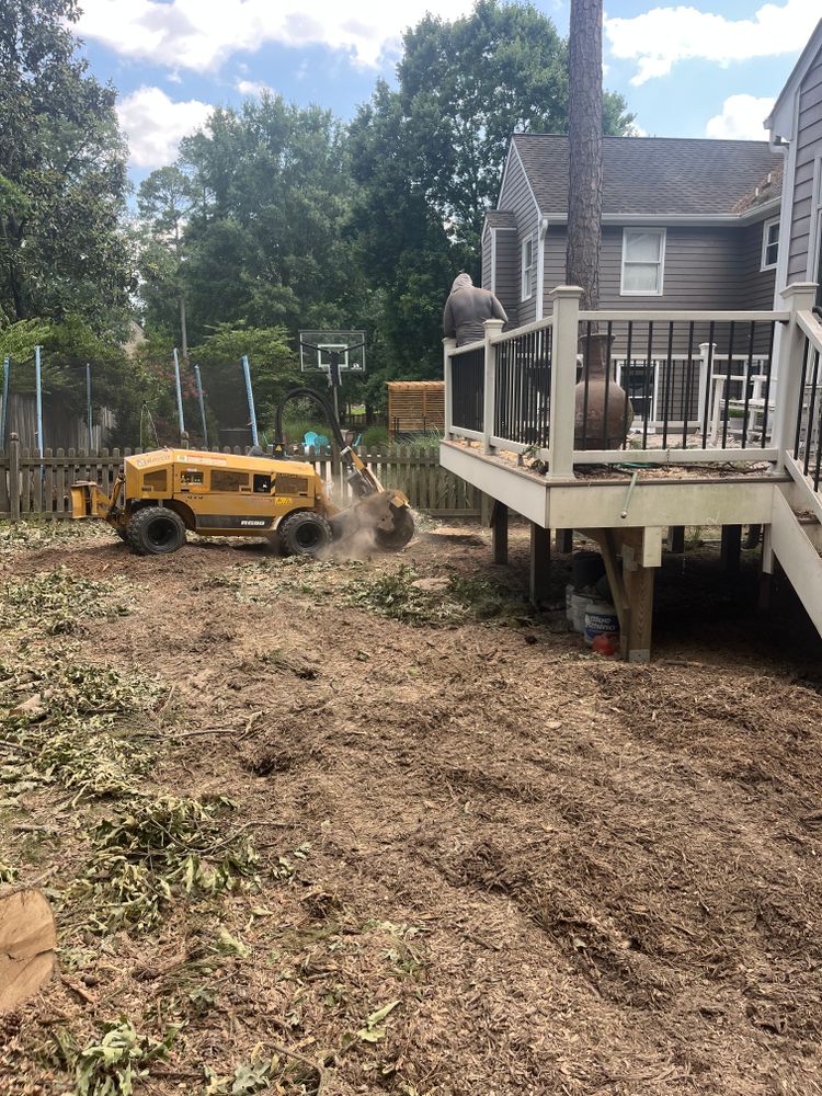 All Photos for Ricky's Tree Service & Property Care in Orange, VA