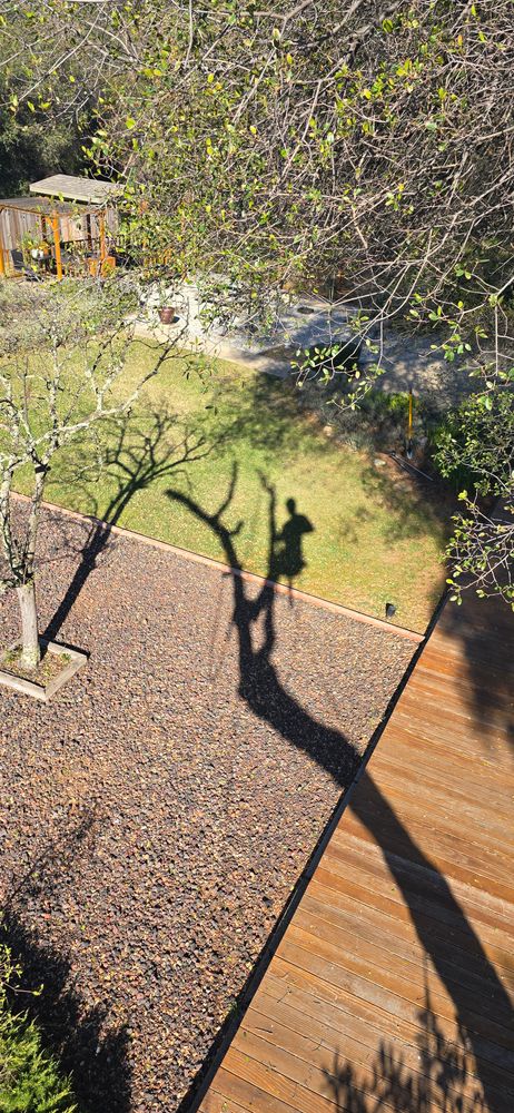 All Photos for George Staddan's Professional Tree Care in Placerville, CA