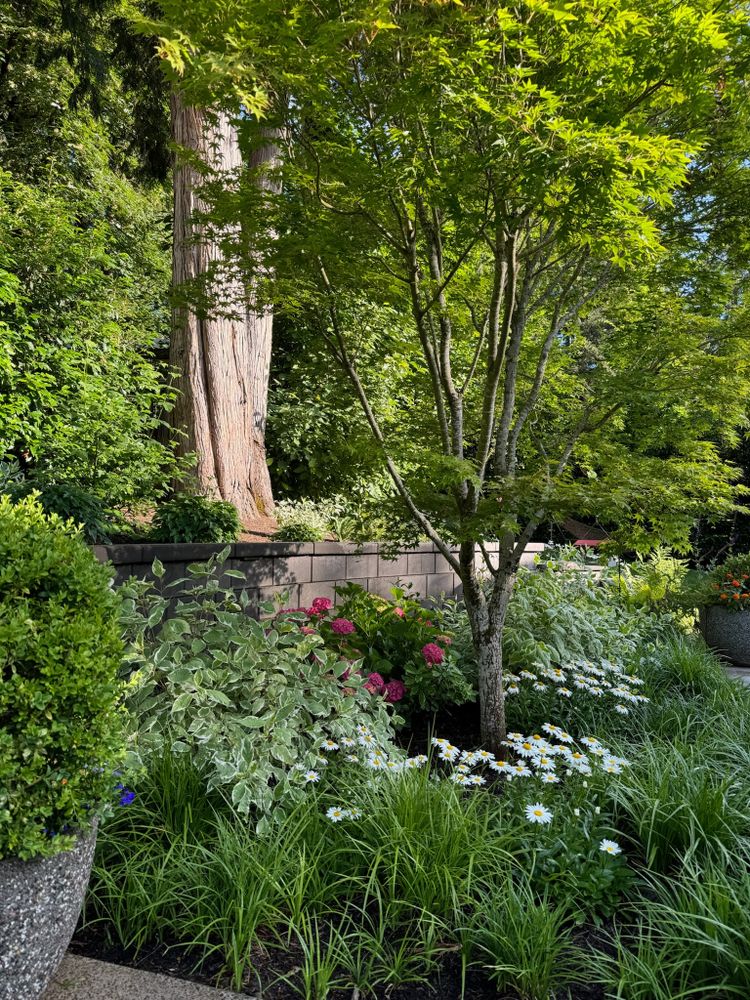 All Photos for Courtney Lewis Landscape Design in Portland, OR