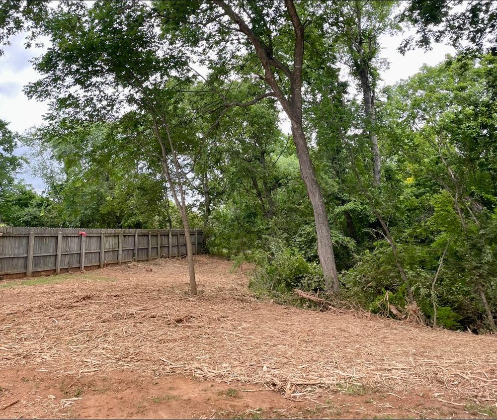 Pasture Reclamation for Bass Land Management in Yellville, AR