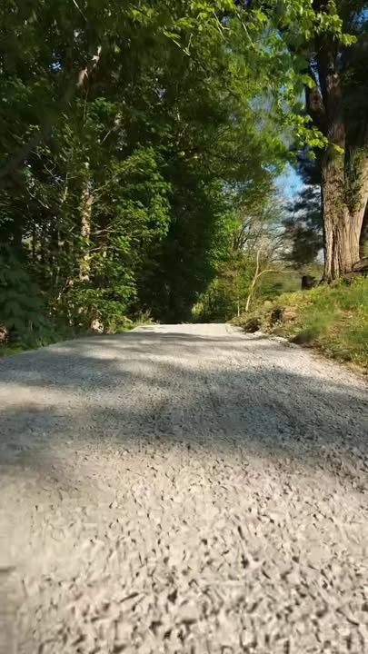 All Photos for Clarke Excavation Co. in Covington, VA