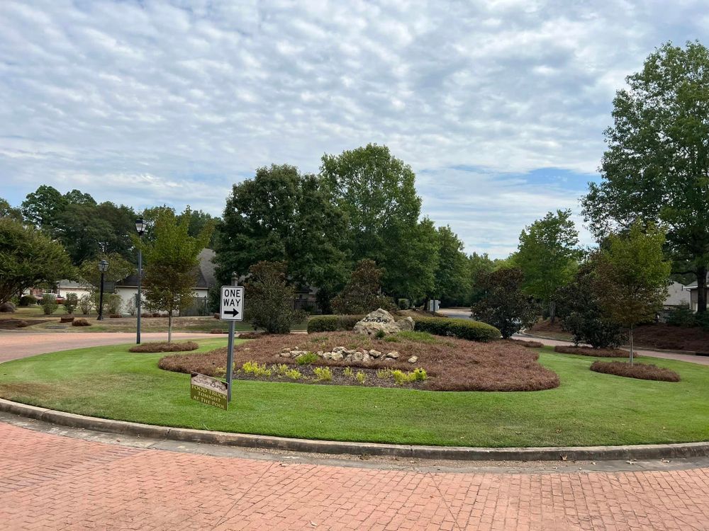 Landscaping for Amis Lawn and Landscape, LLC in Clinton, MS