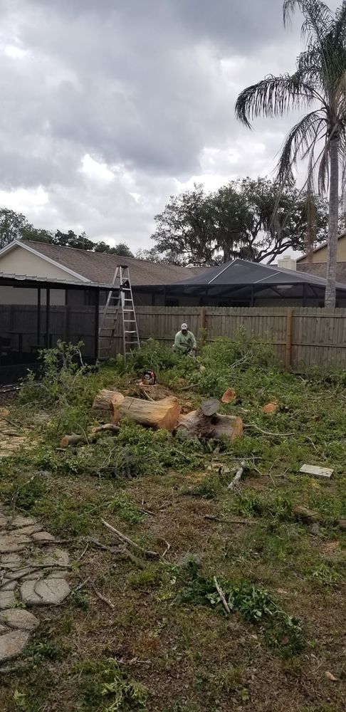 Landscaping for Tezna Landscaping, Trees & Pavers in Valrico, FL
