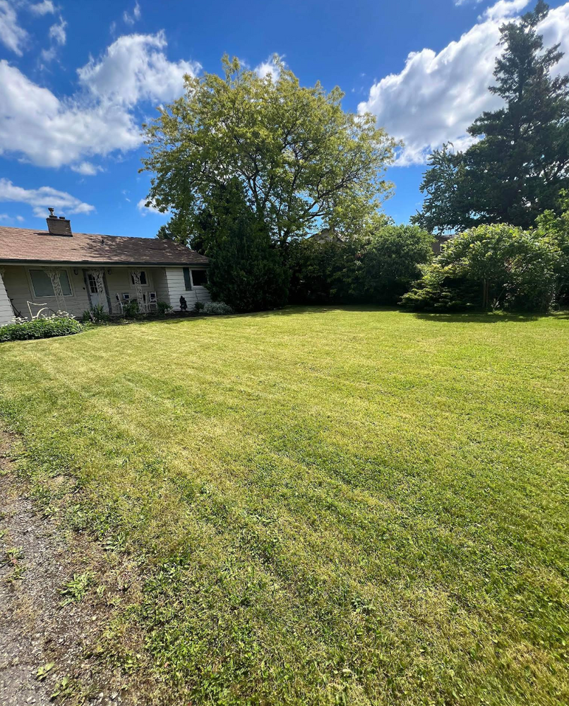 Landscaping  for CMN Exterior Maintenance in Hamilton, ON