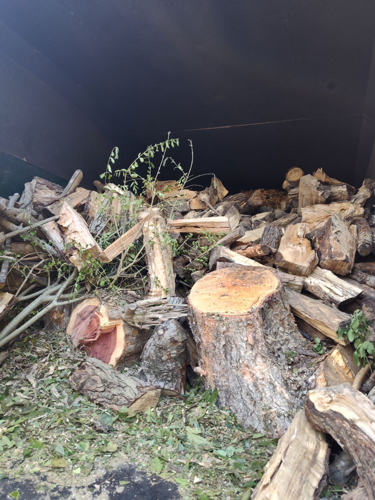 Tree Removal for Noel Velazquez Landscaping  in Williamsburg, VA