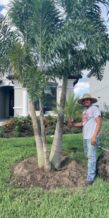 All Photos for Plant World LLC in Cape Coral, FL