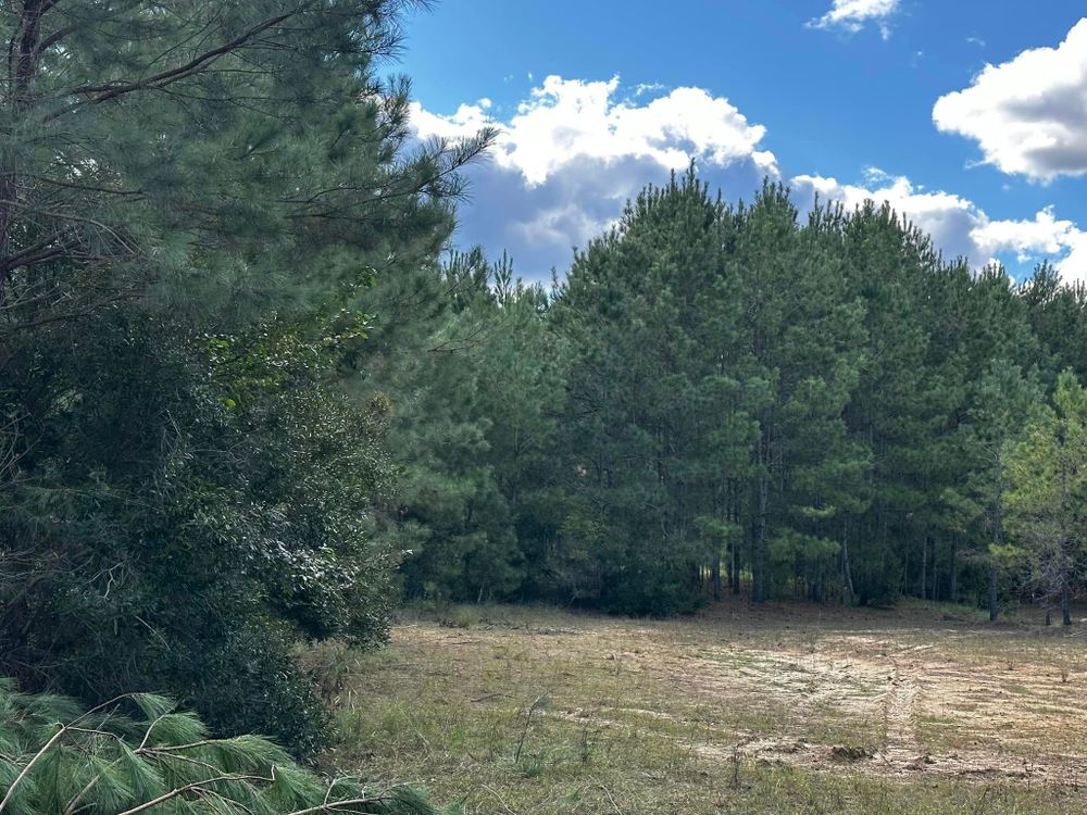 Excavating for Iron Industries in Bluffton, SC