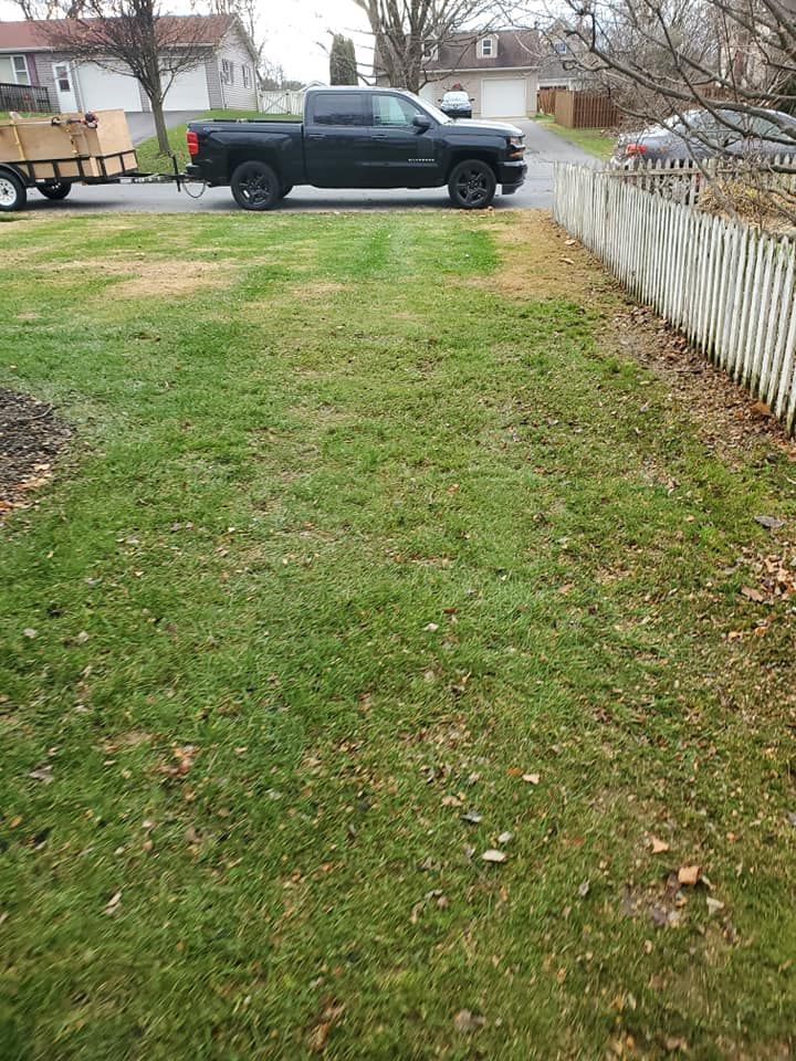 Fall and Spring Clean Up for Trippin A-Lawn in Bethlehem, PA