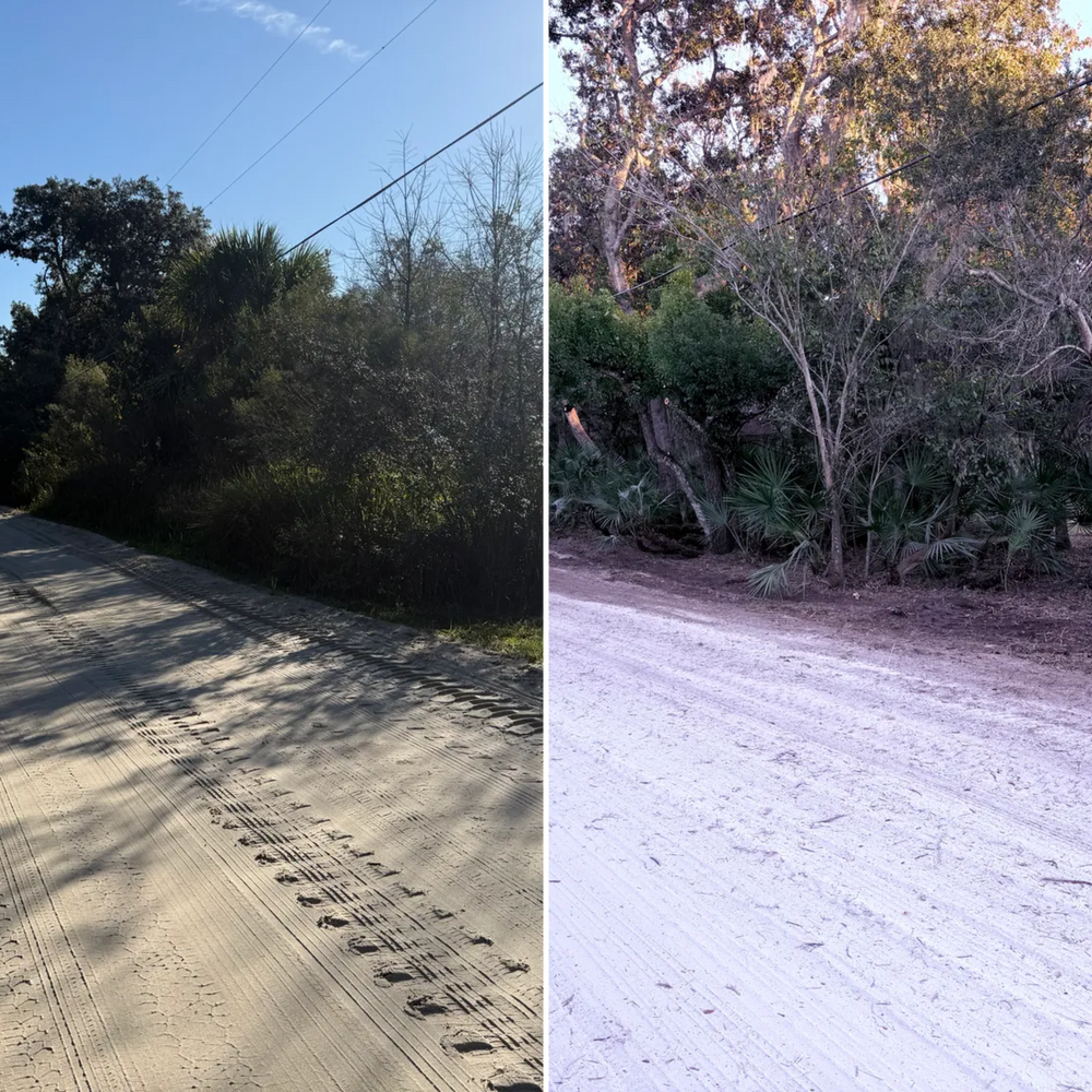 All Photos for Amerigrown Tree And Lawn in Apopka, FL