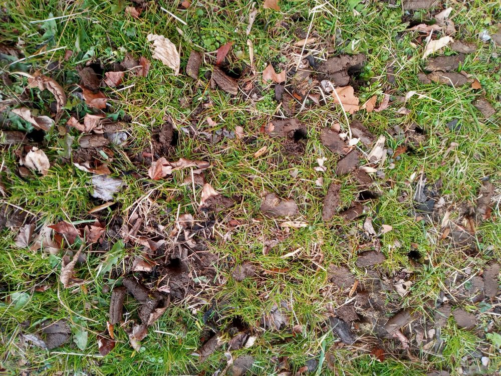 All Photos for Sam I AM Property Solutions in Sunderland, MD