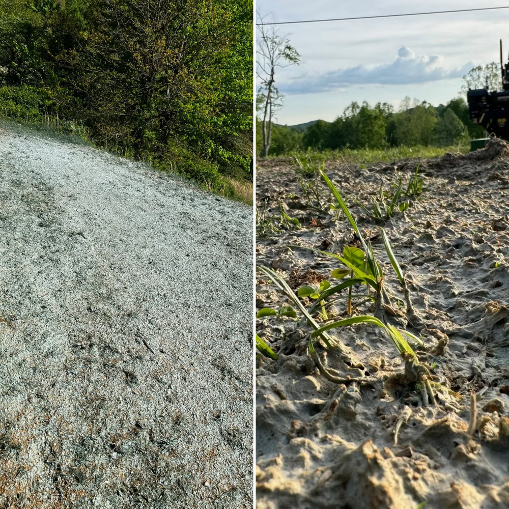 Before & After for Hale’s Hydroseeding in London, KY