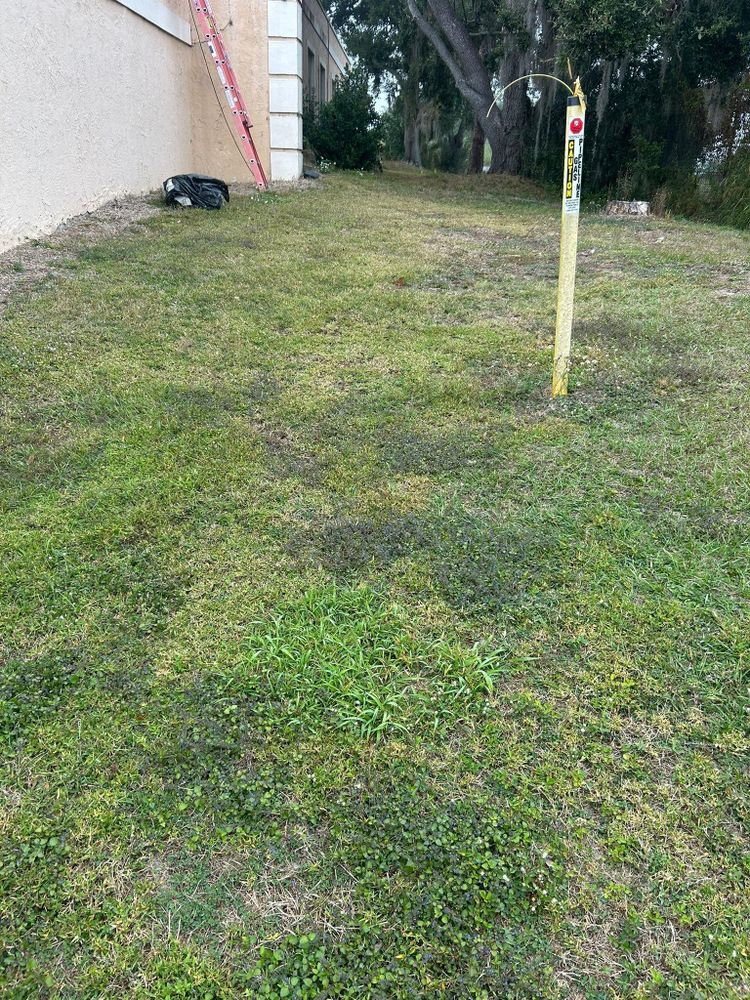 All Photos for Estrada All Pro Lawn Service in Auburndale, Florida