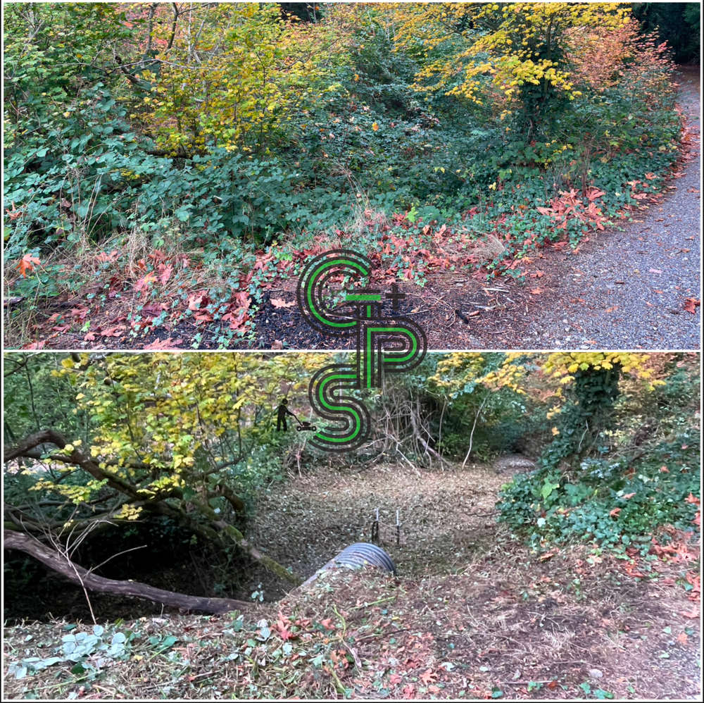 All Photos for Golovin Property Services LLC in Marysville, WA