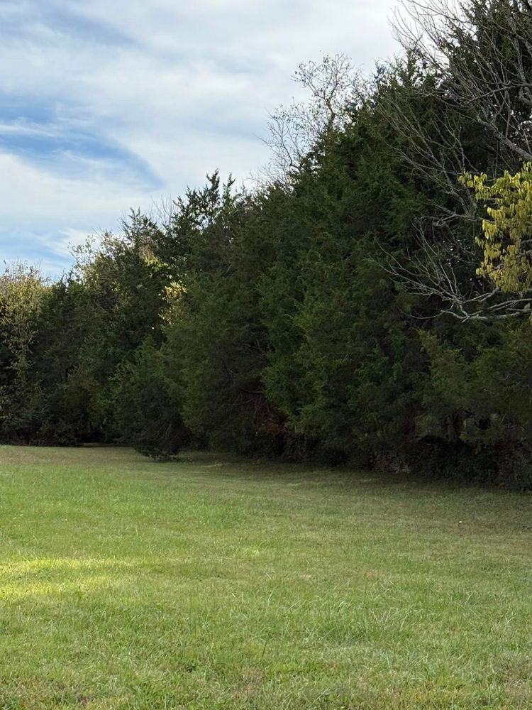 All Photos for Arnold’s Outdoor Solutions in Woodbury, TN