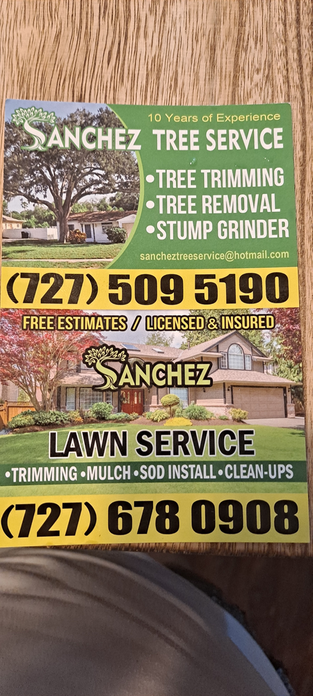 All Photos for Sanchez Tree Service in Largo, FL