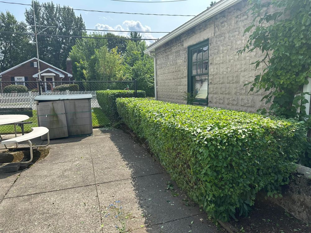 Landscaping  for Saavedra & Sons Landscaping in Waltham, MA