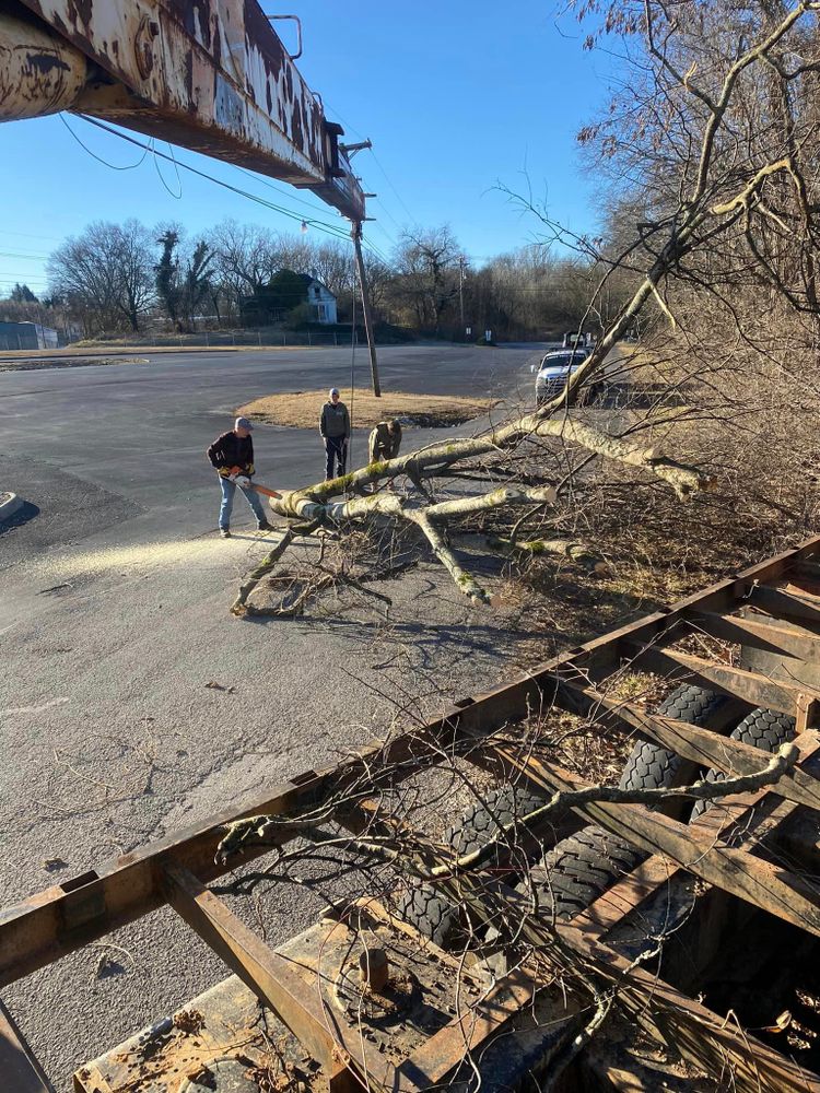 Our Demolition service offers expert "demolition man" professionals to safely and efficiently remove structures on your property, ensuring a smooth experience for homeowners seeking comprehensive tree services. for Lance Tree Service in Tellico Plains ,  TN