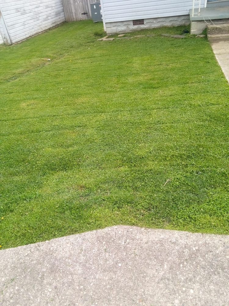 Other Services for Hayes Tree And HandyMan Services LLC in , 