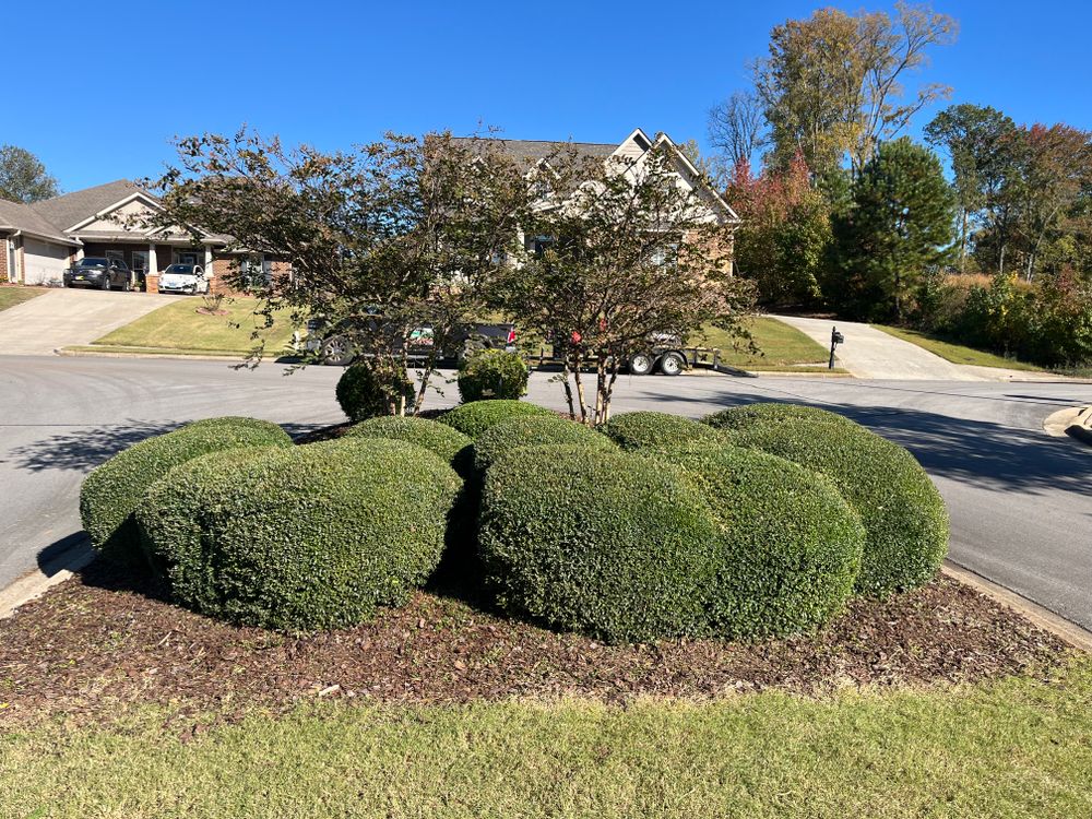 All Photos for Vickers Lawns in Ardmore, Al