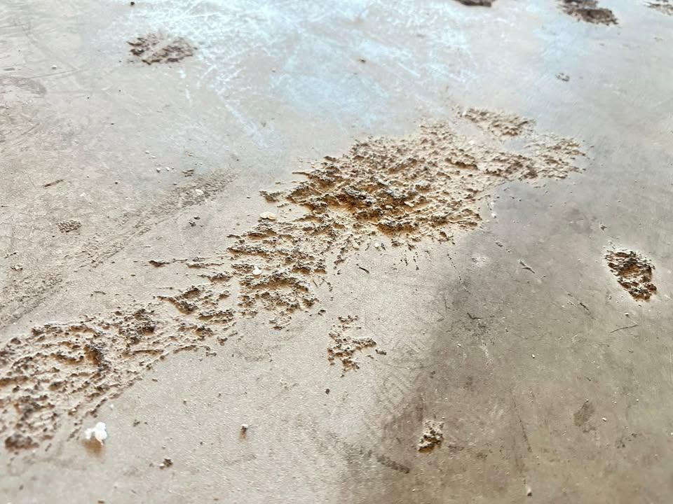 All Photos for PRYME EPOXY in Mayer, AZ