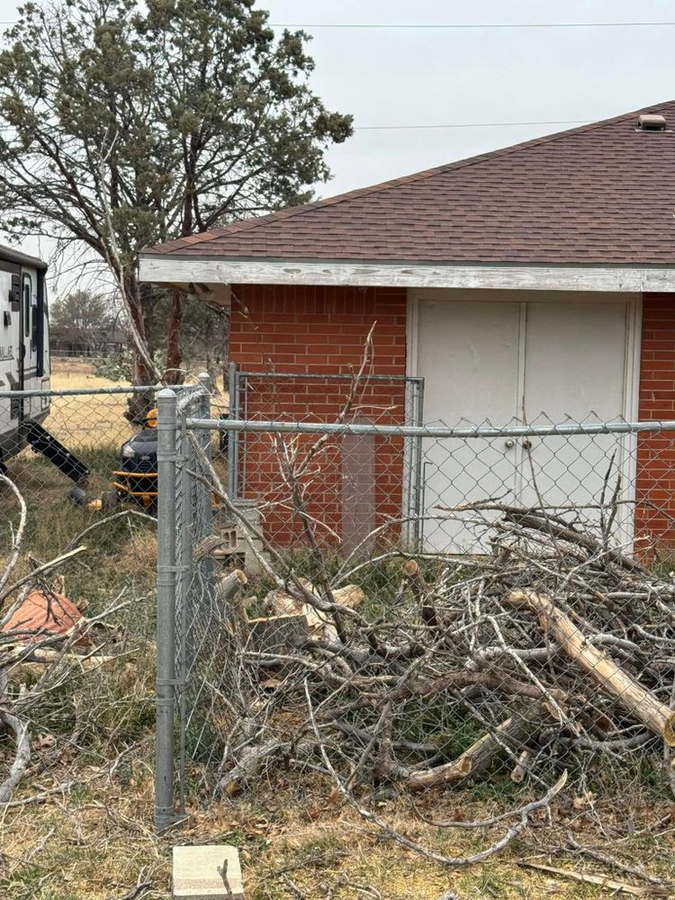 Tree Removal for Lion In The Tree Trimming Service in Big Spring, TX
