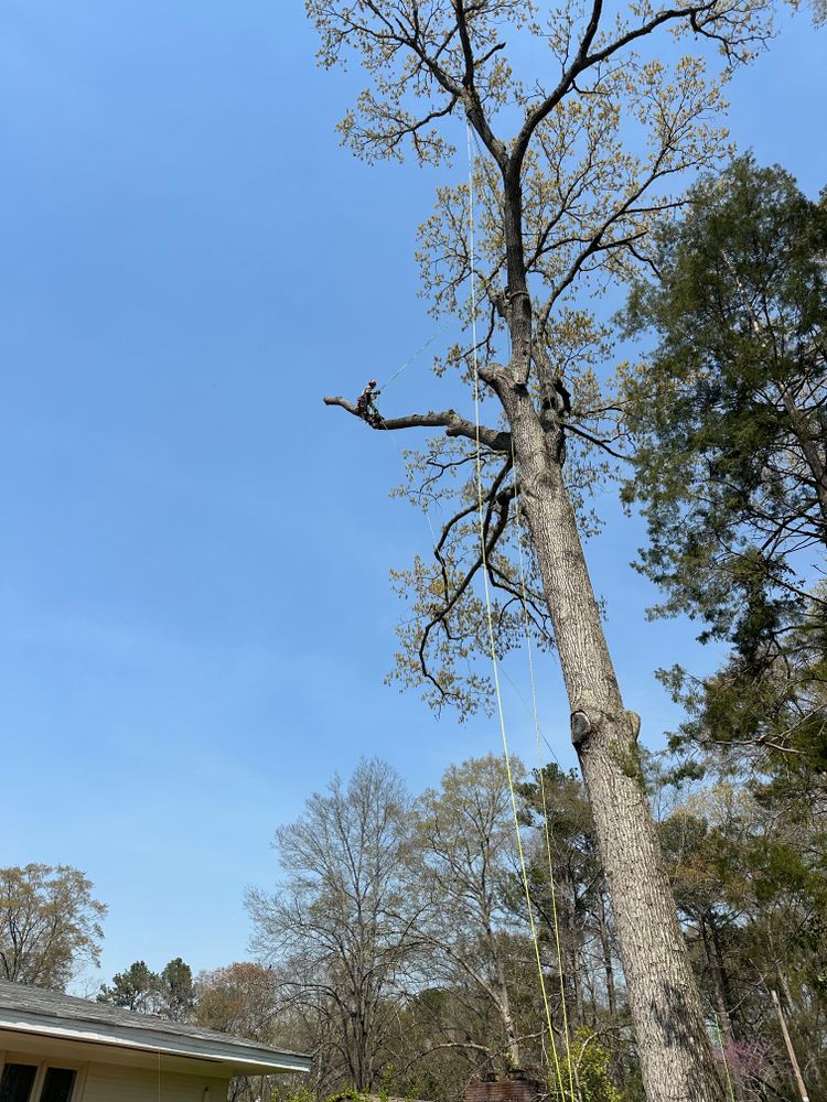 All Photos for ArborMax in Thomaston, GA