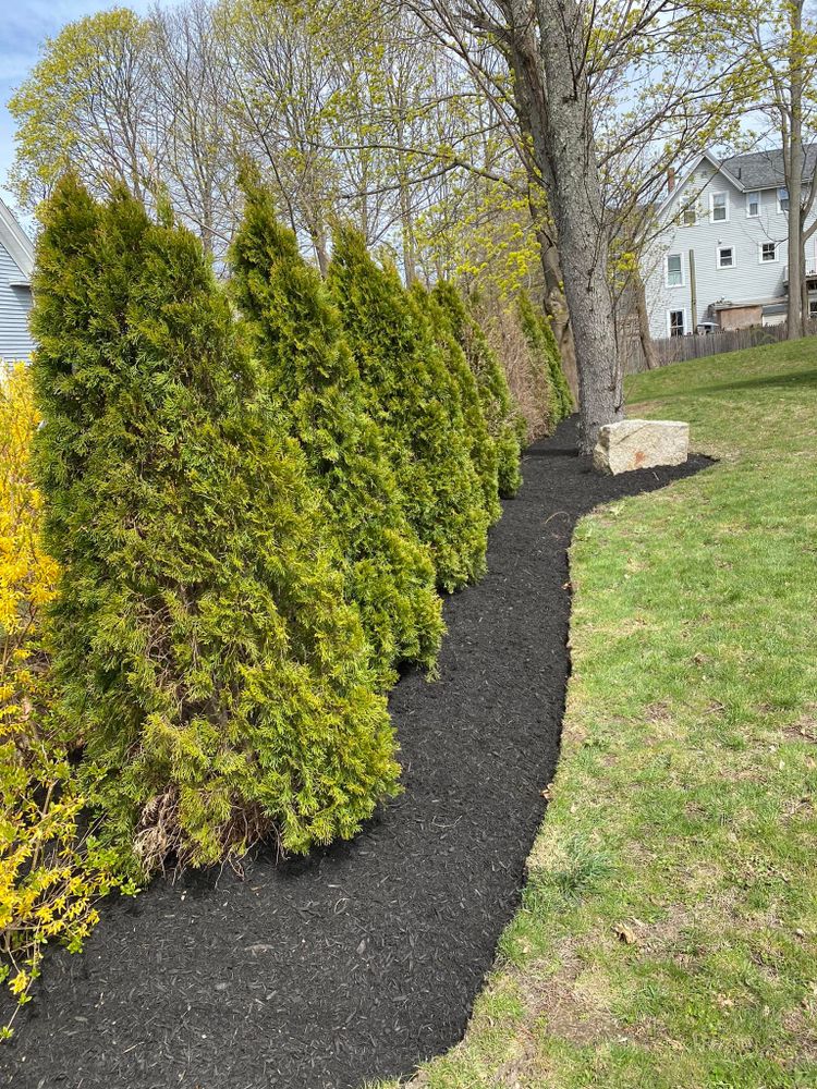 Our shrub trimming service ensures your landscaping stays neat and healthy, enhancing curb appeal. Let us shape and prune your shrubs to perfection, providing a beautiful outdoor space for you to enjoy. for Wilson’s Landscape Services LLC in West Bridgewater, MA