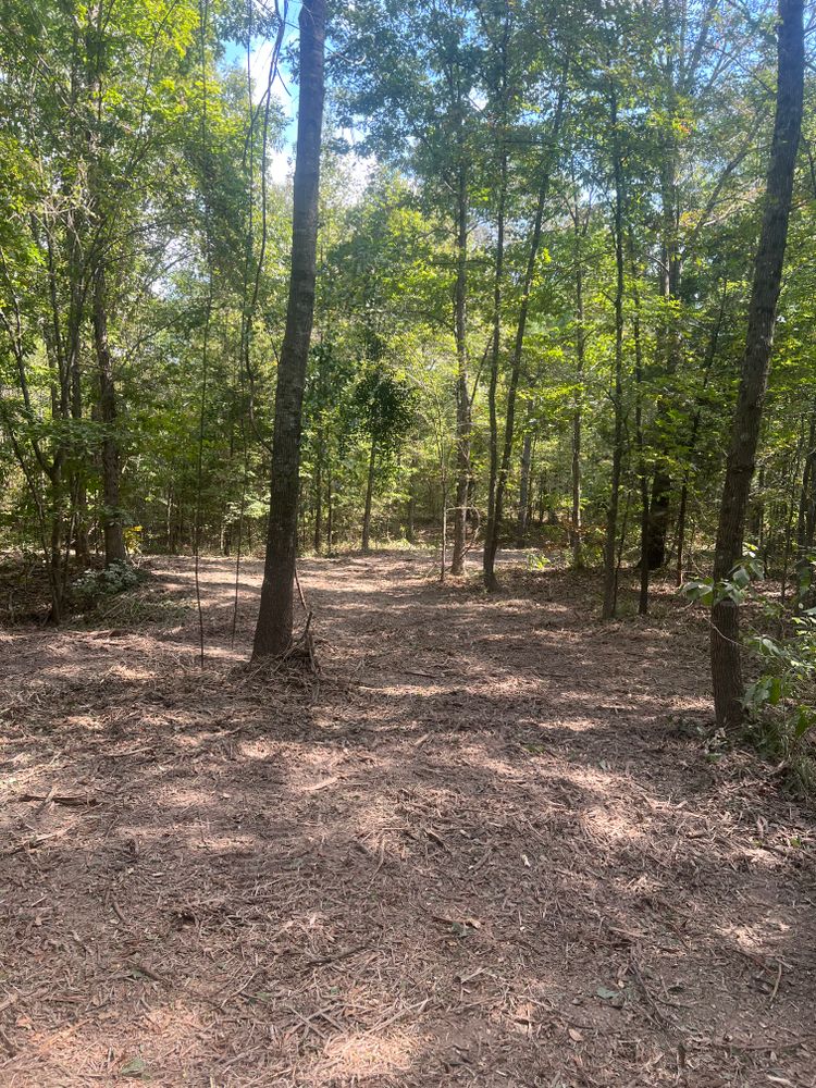 All Photos for 903 Mulching in East Mountain, TX