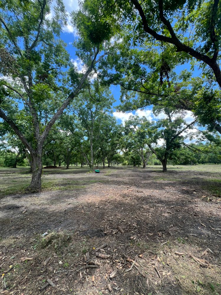 All Photos for Bay Hill Development in Nahunta, GA