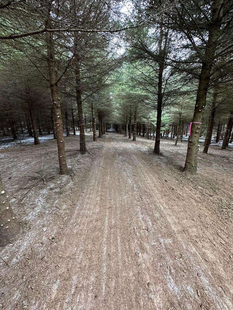 All Photos for 608 Earthworks in Marshall, WI
