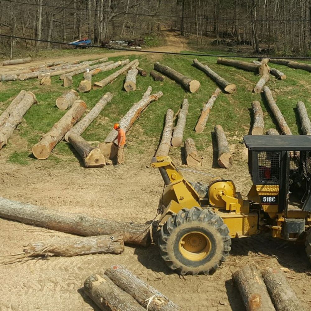 Logging for Bennett Logging in Gosport, Indiana