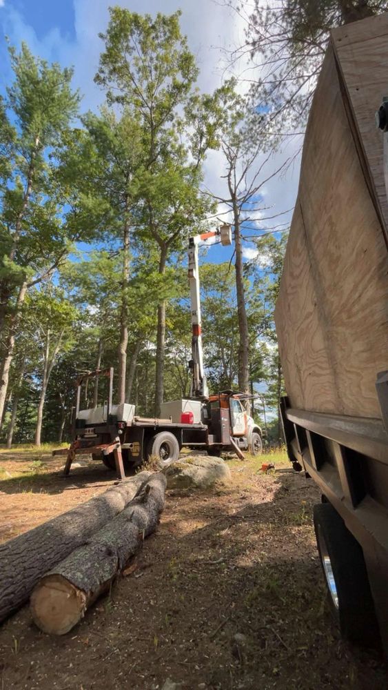 All Photos for Dwights Tree Service LLC in Middleborough, MA