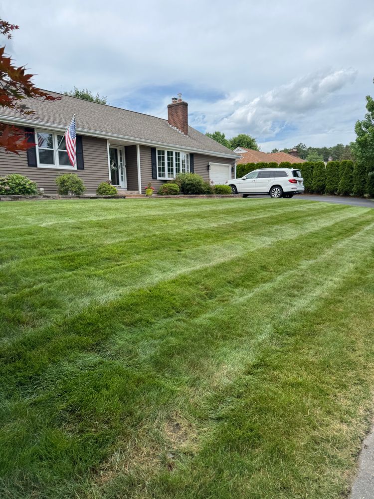 All Photos for Adams Landscaping in Springfield, MA