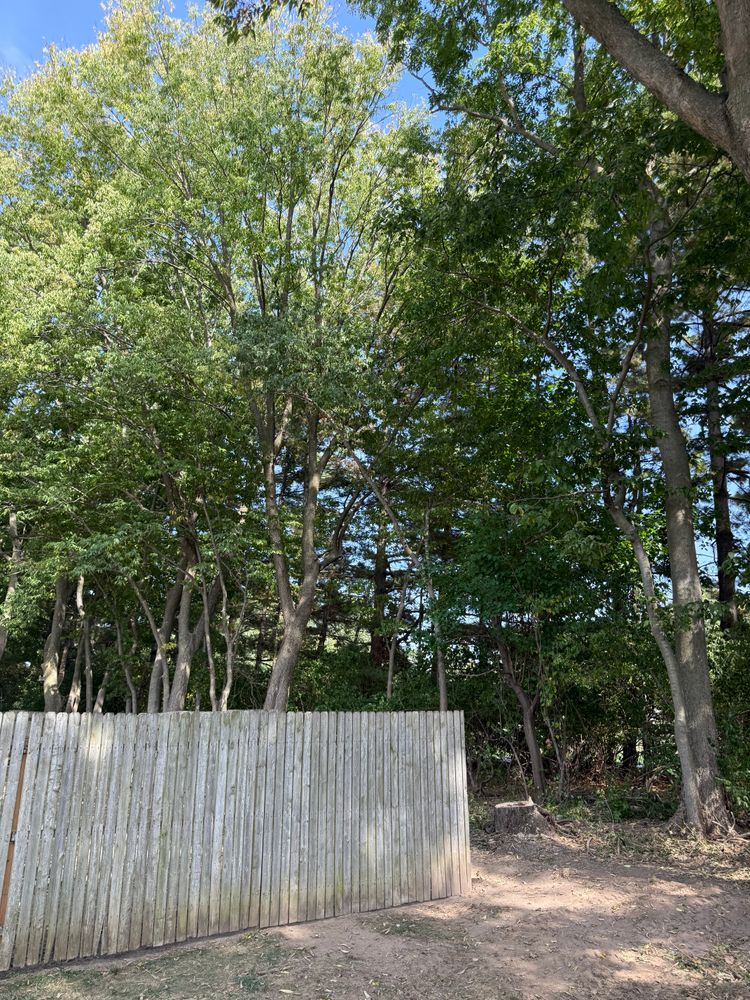 Tree Removal for Hunnicutt’s Tree Service L.L.C. in Monticello, IN