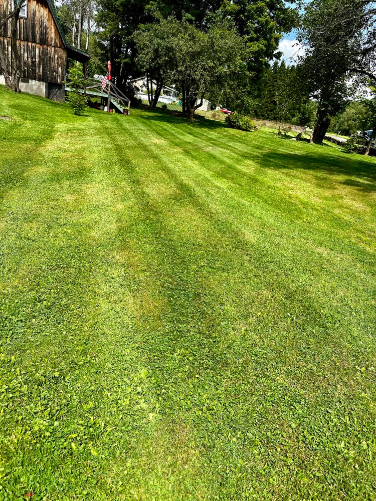 Lawn Care for Lopez Landscaping and Hardscapes in Scranton, PA