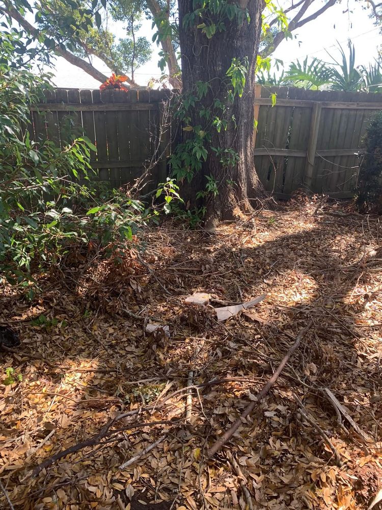 All Photos for Space Coast Property Maintenance and Management LLC in Melbourne, FL